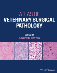 Atlas of veterinary surgical pathology vignette